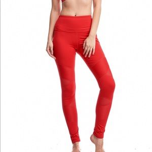 LA society Red moto mesh workout leggings